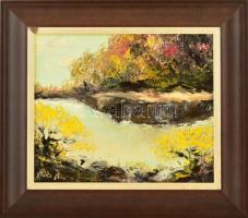 Márta Mónika (?-): Tájkép. Olaj, farost, jelzett, fa keretben, 25×30 cm