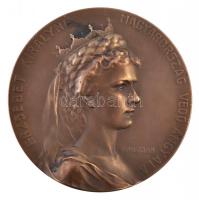 Ifj. Vastagh György (1868-1946) 1911. "Erzsébet királyné - Magyarország védő angyala / Drezdai Egészségügyi Világkiállítás - A Magyar Állam Pavillonja" Br emlékérem (77,6g/60mm) T:1- /  Hungary 1911. "Queen Elisabeth - Protector angel of Hungary / International Hygiene Exhibition in Dresden" commemorative Br medallion. Sign: György Vastagh (77,6g/60mm) C:AU HP 6364.