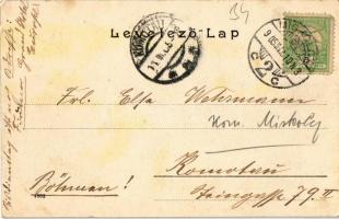 1905 Miskolc, látkép zsinagógával (EK)