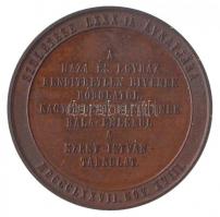 Carl Radnitzky (1818-1901) 1877. "Nagykárolyi gróf Károlyi István / Születése LXXX-ik évnapjára...