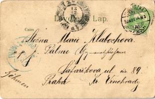 Budapest, pesti rakpart és Királyi vár, piac. Gustav Ertel floral, litho