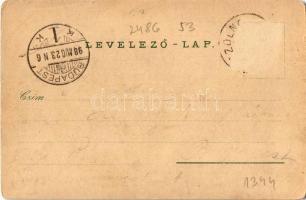 1898 Szolnok, Magy. kir. pénzügyigazgatóság, Törvényház, nemzeti szálloda. Art Nouvea, floral, litho...