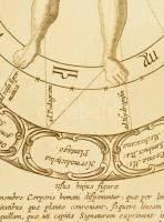 1682 Typus Sympathicus Microcosmi cum Megacosmo sive Signaturas Plantarum, cum Singulis Humani Corpo...