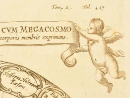 1682 Typus Sympathicus Microcosmi cum Megacosmo sive Signaturas Plantarum, cum Singulis Humani Corpo...