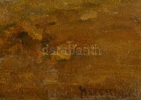 Olvashatatlan jelzéssel: Hazafelé. Olaj, karton, restaurálásra szorul, sérült keretben, 60×49 cm