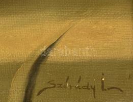 Szórády jelzéssel: Mezei virágcsendélet. Olaj, vászon (javított), keretben, 62×85 cm