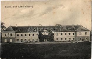 Csicsó, Cicov; Gróf Kálnoky kastély / Schloss / Kastiel / castle (fl)