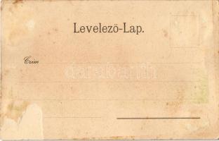 Gyulafehérvár, Karlsburg, Alba Iulia; Novak Ferenc tér, Országos vásár. Atelier Bach 5667. / square,...