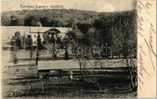 1906 Jegenye, Leghia; Jegenye fürdő, nyaraló. Kiadja A. Sonnenfeld / spa, villa + Budapest-Brassó 15. sz. vasúti mozgóposta bélyegző