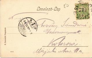 1906 Jegenye, Leghia; Jegenye fürdő, nyaraló. Kiadja A. Sonnenfeld / spa, villa + Budapest-Brassó 15...