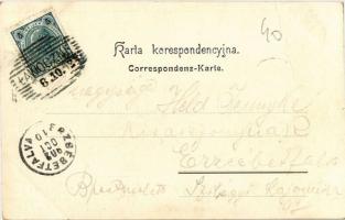 1902 Stryi, Stryj; Dworzec / Bahnhof / railway station, ladder, bridge (fa)