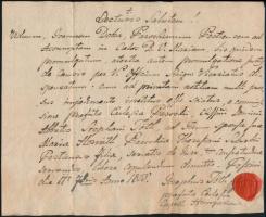 1808 Pest, latin nyelvű plébániai házasodási engedély, rányomott viaszpecséttel
