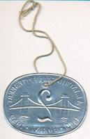 1949. 2Ft "A Lánchíd ujjáépítéséért 1849-1949" Al bárca (40x53mm) T:2  
Hungary 1949. 2 F...