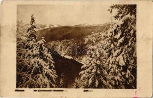 1917 Cheremosh-völgy a Kárpátokban télen / Czeremosztal Karpathen / WWI K.u.K. military, Ceremus valley in the Carpathians in winter. photo + M. kir. 13/I. népfelkelő munkásosztály