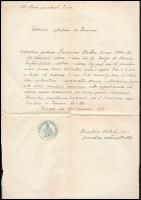 1871 A zirci plébánia házasodási engedélye, latin nyelven, bélyegzővel