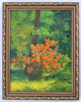 Balla jelzéssel: Vörös bokor. Olaj, karton, keretben, 27×21 cm