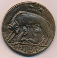 1978. "SMTSG / Thuróczy Rezső 1913-1978" kétoldalas Br emlékplakett (70mm) T:2 kis patina