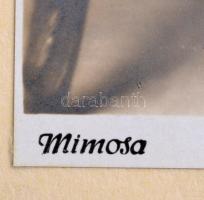 cca 1930 Női akt babákkal, fotó, kartonra ragasztva, 22,5×16 cm