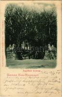 1899 Tatatóváros (Tata), Angolkert bejárata. Kiadja Engländer és társa (EK)