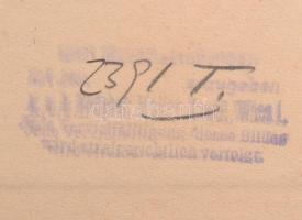 cca 1932 Bárczy István (1882-1952) miniszterelnökségi államtitkár, fotó Hermann Kosel bécsi műterméb...