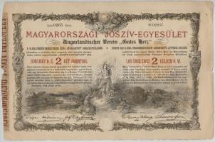 Budapest 1888. Magyarországi Jószív-Egyesület sorsjegykölcsön 2Ft-ról, szárazpecséttel T:III,III-
