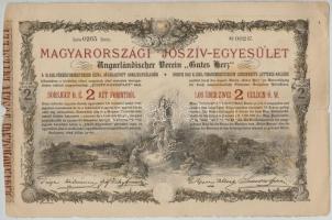 Budapest 1888. "Magyarországi Jószív-Egyesület" sorsjegykölcsön 2Ft-ról, szárazpecséttel T:III,III-