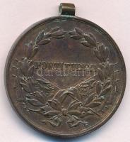 1917. "Károly Bronz Vitézségi Érem" Br kitüntetés mellszalag nélkül. Szign.: Kautsch T:2 k...