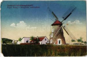 Kiskunfélegyháza, Vígan forog a félegyházi szélmalom / windmill (EM)