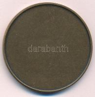 Fritz Mihály (1947-) DN "Pedagógus Szolgálati Emlékérem" Br emlékérem tokban (42,5mm) T:1-