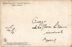 Brassó, Kronstadt, Brasov; vándorló cigányok. Erdélyi népviseletek 11. sz. Zeidner H. kiadása / Tiga...