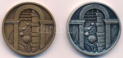 DN "Balassagyarmat" Br emlékérem (32mm) + "Balassagyarmat" ezüstpatinázott Br em...