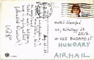 1983 Cats in summer. Alfred Mainzer ALMA 4889. (EK)