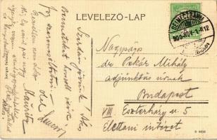 1900 Selmecbánya, Banská Stiavnica; látkép északkelet felé. Joerges / general view