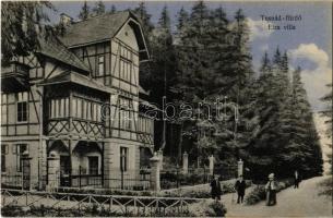 1911 Tusnádfürdő, Baile Tusnad; Elza villa. Brunner Lajos kiadása / villa