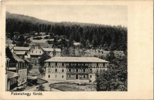 1906 Feketehegy-fürdő, Cernohorské kúpele (Merény, Nálepkovo); nyaralók / villas