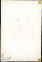 Képi párhuzamok, feliratozott vintage fotók különféle helyszínekről, eltérő időpontokból és más-más ...