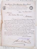 1898 Tátralomnici vonatkozású iratok gyűjteménye: tervezett fürdő engedélyei, fürdő alapszabályai, é...