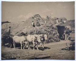 cca 1940 Cséplés, mezőgazdasági munkák. Fotópályázatra készült művészi vintage felvétel. 30x24 cm