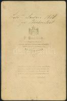 1881 Feliratozott, datált cabinetfotó méretű, kézzel színezett, vintage fénykép, 16,8x10,8 cm