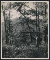 cca 1938 Dulovits Jenő (1903-1972) budapesti fotóművész hagyatékából 1 db pecséttel jelzett vintage ...