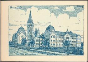 Délvidék. Bánát-Bácska-Baranya. Nem lehet másé! Nem! Nem! Soha! Irredenta képeslapfüzet 20 képeslapp...