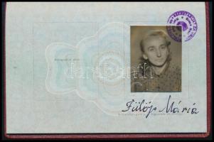 1963 Fényképes jugoszláv útlevél, bejegyzésekkel