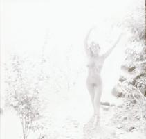 Egy gazdag életműből hét pillanat, különféle időpontokban, eltérő helyszíneken, több fotómodell közr...