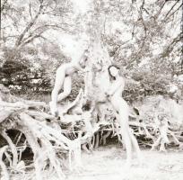 Játék, móka, kacagás, különféle időpontokban, eltérő helyszíneken, több fotómodell közreműködésével ...