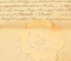 1844 Ügyvédi oklevél Janits Jenőy részére. Címeres, papírfelzetes viaszpecséttel 64x42 cm Folt, hajt...