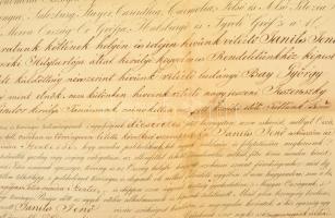 1844 Ügyvédi oklevél Janits Jenőy részére. Címeres, papírfelzetes viaszpecséttel 64x42 cm Folt, hajt...