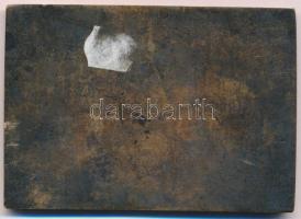 Nagy Géza (1921-) 1974. "Szarvas" egyoldalas, öntött Br plakett (85x60mm) T:1-,2