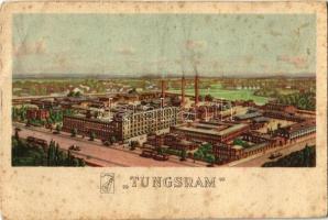 Budapest IV. Tungsram gyár (Egyesült Izzólámpa és Villamossági Rt.) (szakadás / tear)