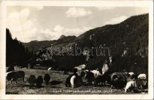 1940 Deménvölgy, Demanovska Dolina; hegyi szállás, nyáj / mountain hotel, flock of sheep (EK)