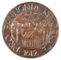 DN Pro Pannonia Reformata 1612 - Non volentis neque currentis sed miserentis est dei - Rom IX.16 kétoldalas Br plakett (120mm) T:2